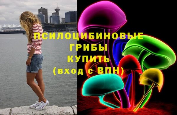 apvp Володарск