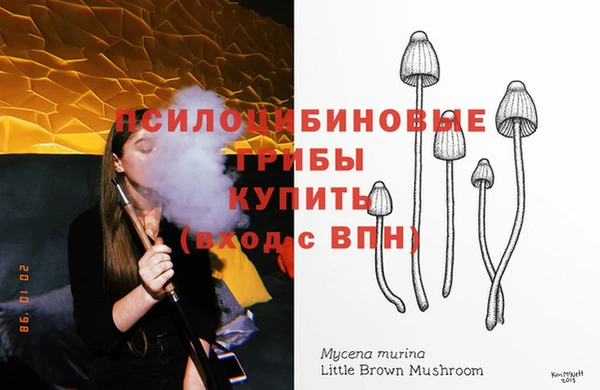 apvp Володарск