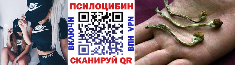 даркнет сайт  Новочебоксарск  Псилоцибиновые грибы Cubensis 